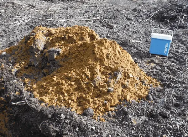 Soil sample from contaminated land Soil sample from contaminated land