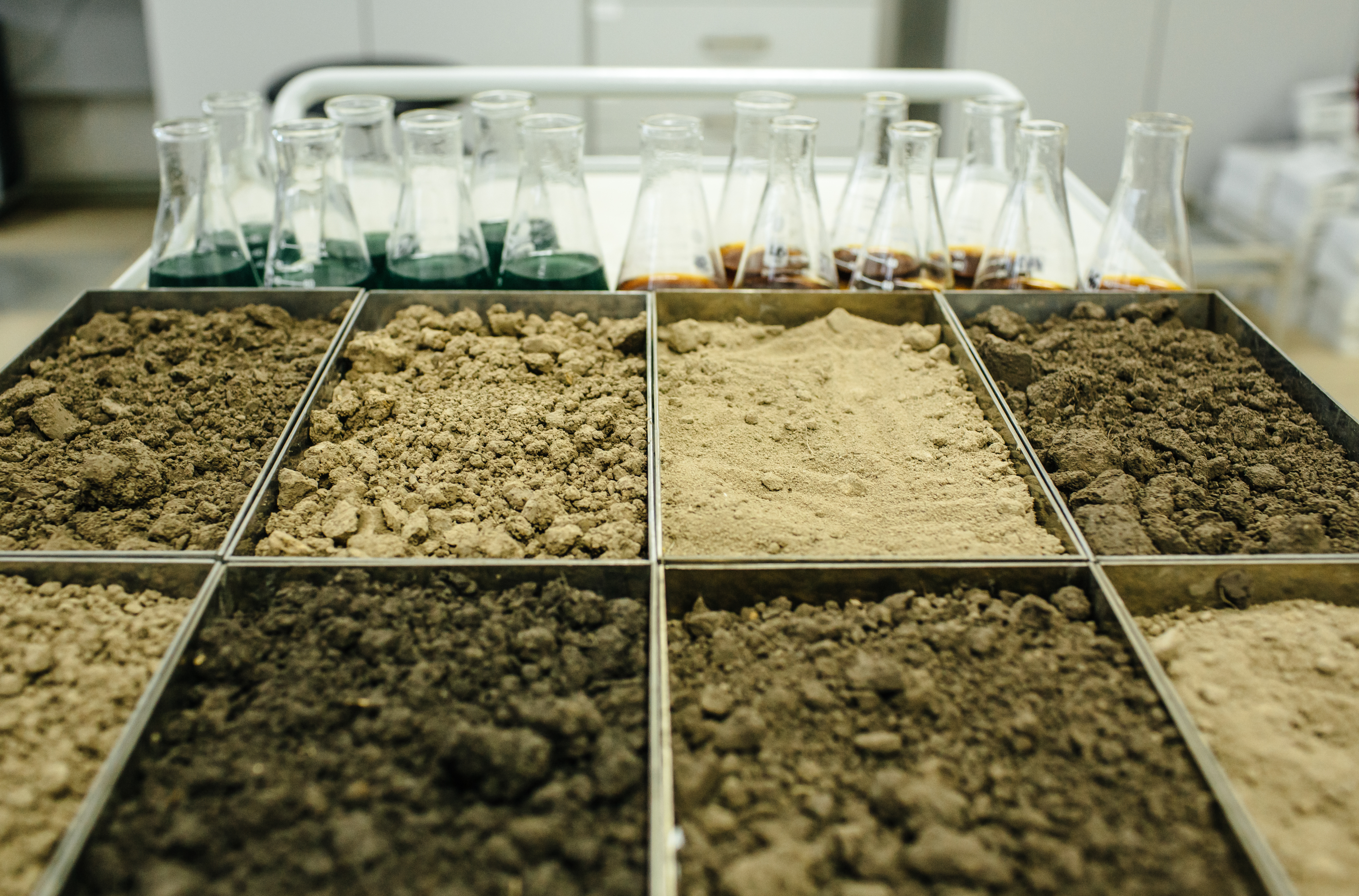 Sorting of soil testing trays