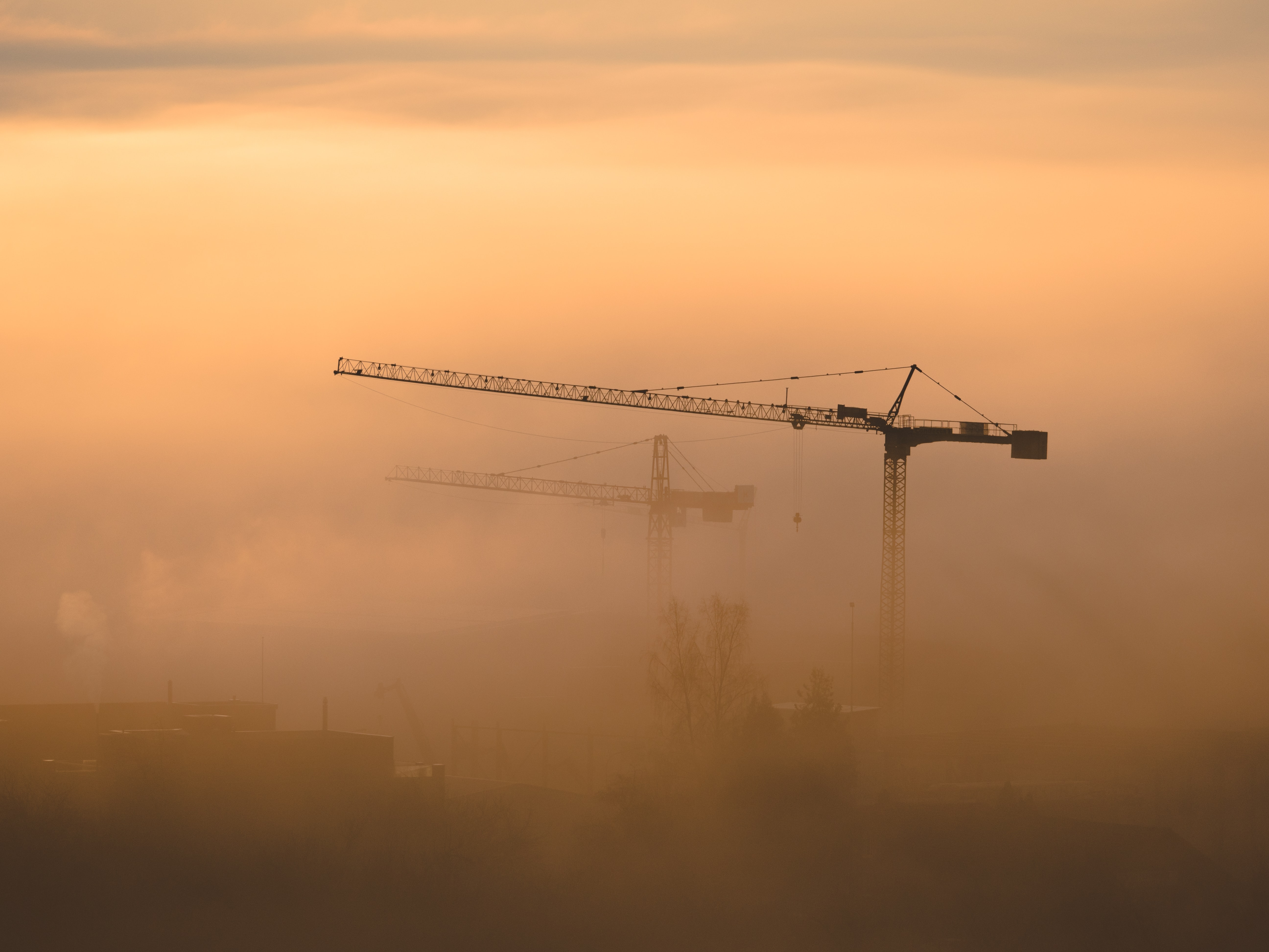 Cranes in the fog